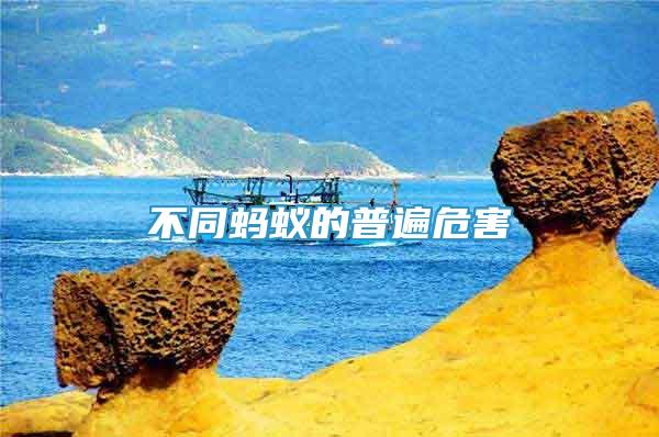 不同螞蟻的普遍危害