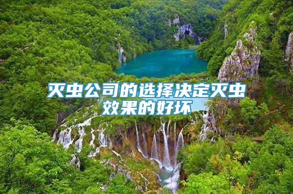 滅蟲(chóng)公司的選擇決定滅蟲(chóng)效果的好壞