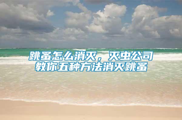跳蚤怎么消滅，滅蟲公司教你五種方法消滅跳蚤