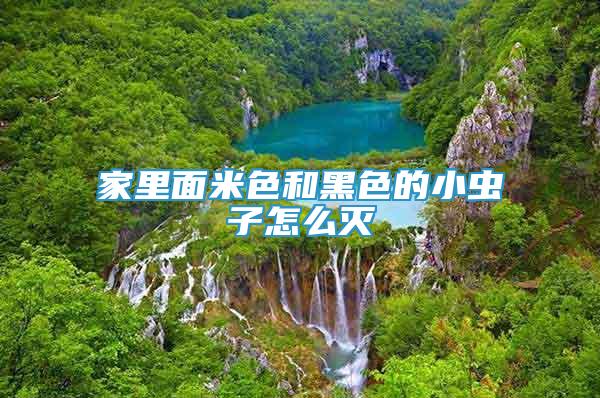 家里面米色和黑色的小蟲子怎么滅