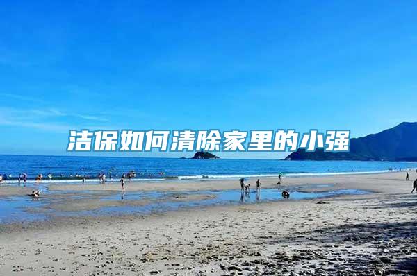 潔保如何清除家里的小強(qiáng)