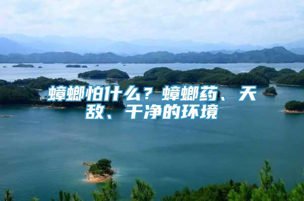 蟑螂怕什么？蟑螂藥、天敵、干凈的環(huán)境