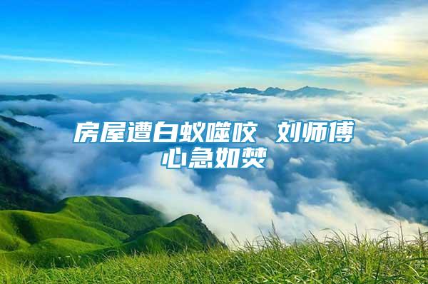 房屋遭白蟻噬咬 劉師傅心急如焚