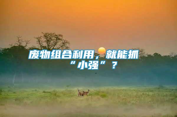 廢物組合利用，就能抓“小強(qiáng)”？