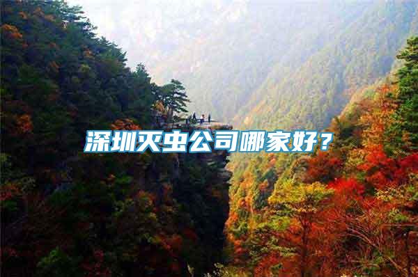 深圳滅蟲公司哪家好？