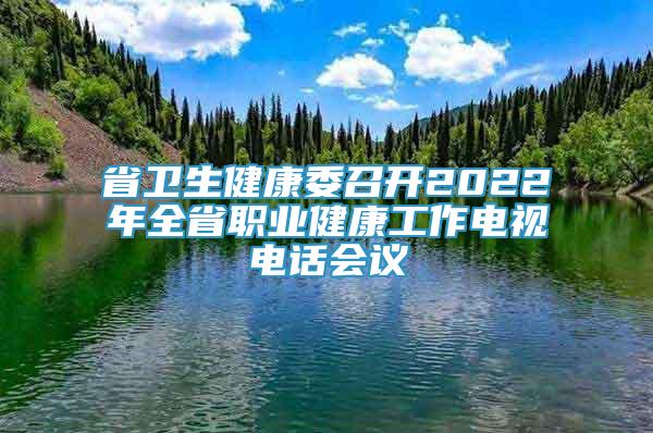 省衛(wèi)生健康委召開2022年全省職業(yè)健康工作電視電話會(huì)議