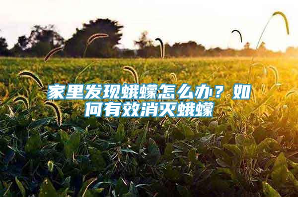 家里發(fā)現(xiàn)蛾蠓怎么辦？如何有效消滅蛾蠓