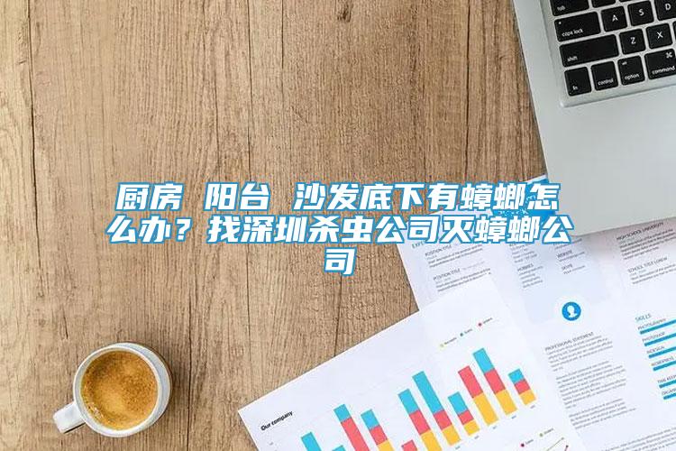 廚房 陽臺(tái) 沙發(fā)底下有蟑螂怎么辦？找深圳殺蟲公司滅蟑螂公司