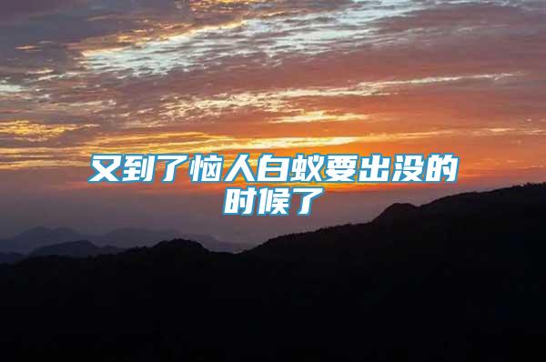 又到了惱人白蟻要出沒的時候了