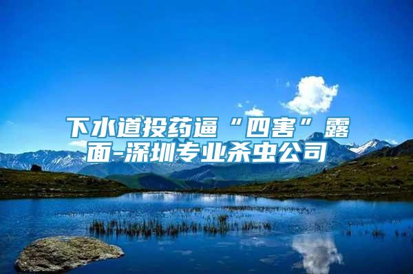 下水道投藥逼“四害”露面-深圳專業(yè)殺蟲公司