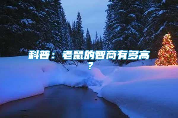 科普：老鼠的智商有多高？