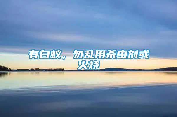 有白蟻，勿亂用殺蟲劑或火燒