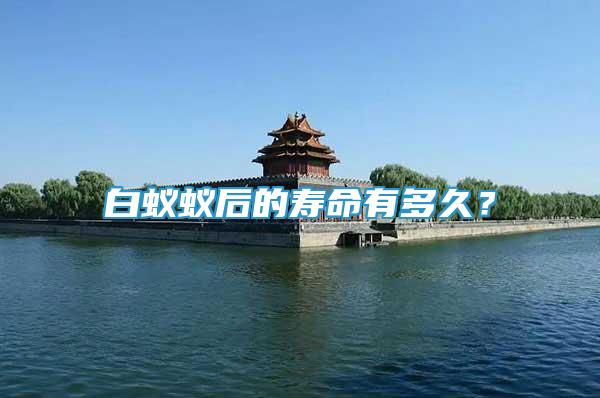 白蟻蟻后的壽命有多久？