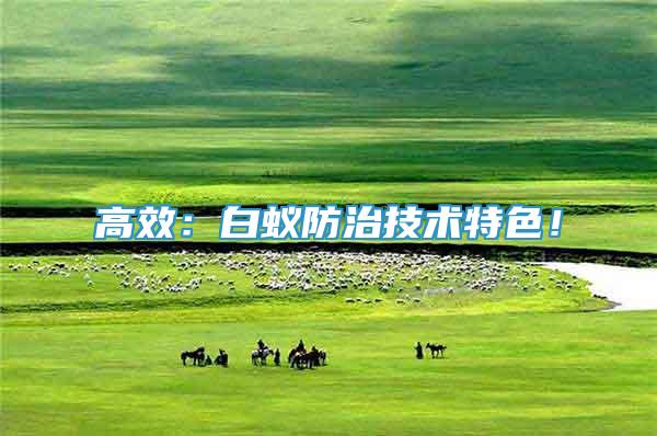 高效：白蟻防治技術(shù)特色！