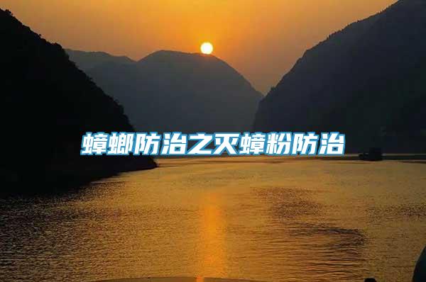 蟑螂防治之滅蟑粉防治