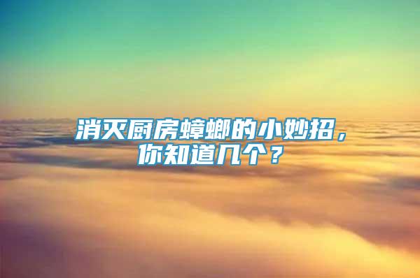消滅廚房蟑螂的小妙招，你知道幾個？