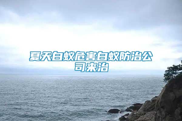 夏天白蟻危害白蟻防治公司來治