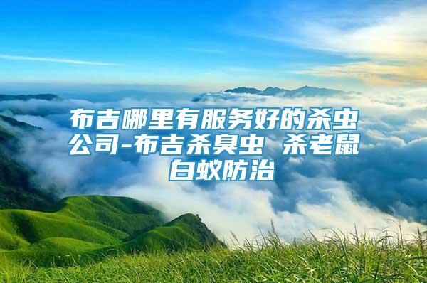 布吉哪里有服務(wù)好的殺蟲(chóng)公司-布吉?dú)⒊粝x(chóng) 殺老鼠 白蟻防治