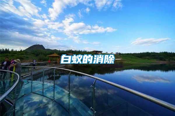 白蟻的消除