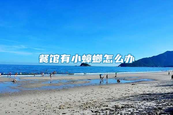 餐館有小蟑螂怎么辦