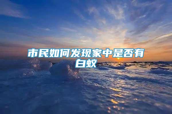 市民如何發(fā)現(xiàn)家中是否有白蟻