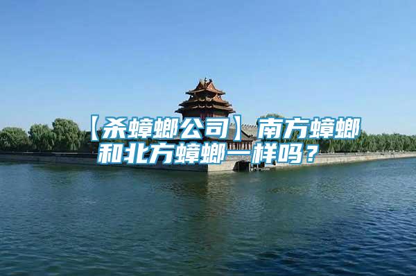 【殺蟑螂公司】南方蟑螂和北方蟑螂一樣嗎？