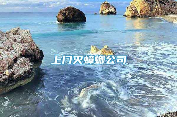 上門滅蟑螂公司