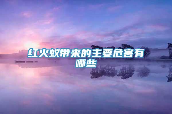 紅火蟻帶來的主要危害有哪些