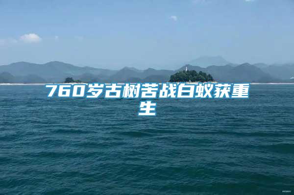 760歲古樹苦戰(zhàn)白蟻獲重生