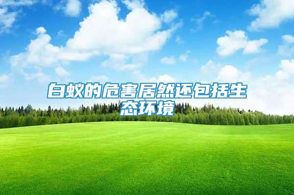白蟻的危害居然還包括生態(tài)環(huán)境