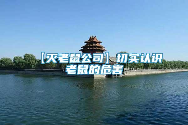 【滅老鼠公司】切實(shí)認(rèn)識(shí)老鼠的危害
