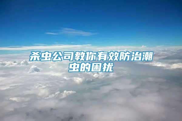 殺蟲公司教你有效防治潮蟲的困擾