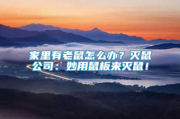 家里有老鼠怎么辦？滅鼠公司：妙用鼠板來滅鼠！