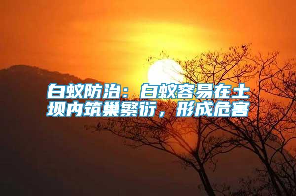 白蟻防治：白蟻容易在土壩內(nèi)筑巢繁衍，形成危害