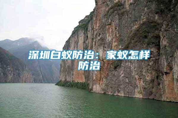 深圳白蟻防治：家蟻怎樣防治