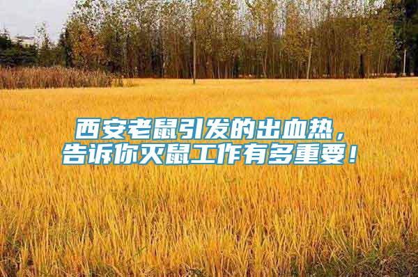西安老鼠引發(fā)的出血熱，告訴你滅鼠工作有多重要！