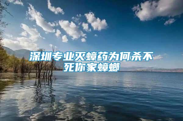 深圳專業(yè)滅蟑藥為何殺不死你家蟑螂