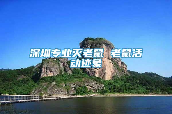 深圳專業(yè)滅老鼠 老鼠活動跡象
