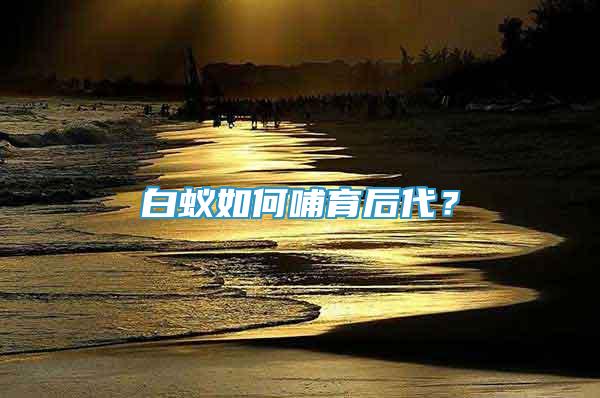 白蟻如何哺育后代？