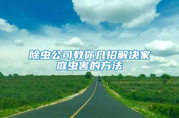 除蟲公司教你幾招解決家庭蟲害的方法