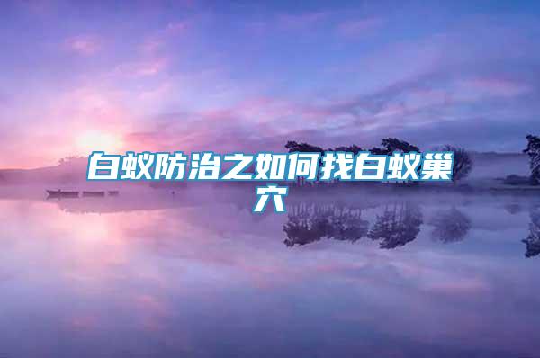 白蟻防治之如何找白蟻巢穴