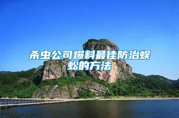 殺蟲公司爆料最佳防治蜈蚣的方法