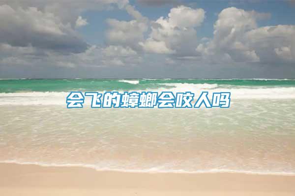 會(huì)飛的蟑螂會(huì)咬人嗎