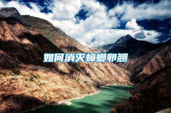 如何消滅蟑螂卵翹