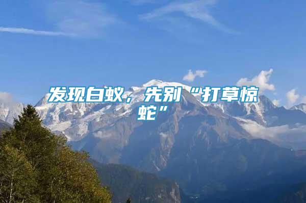 發(fā)現(xiàn)白蟻，先別“打草驚蛇”
