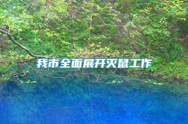 我市全面展開滅鼠工作