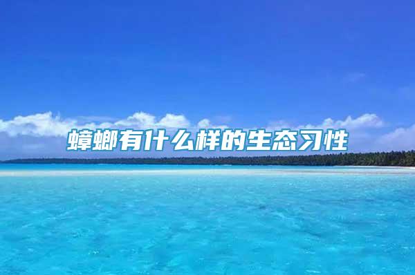 蟑螂有什么樣的生態(tài)習(xí)性