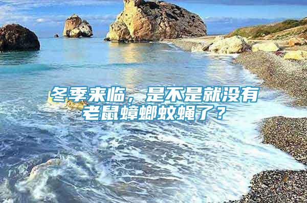 冬季來臨，是不是就沒有老鼠蟑螂蚊蠅了？
