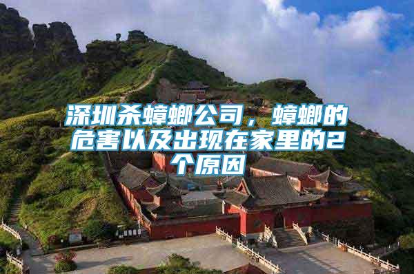 深圳殺蟑螂公司，蟑螂的危害以及出現(xiàn)在家里的2個(gè)原因