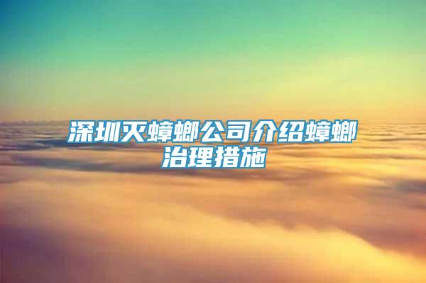 深圳滅蟑螂公司介紹蟑螂治理措施